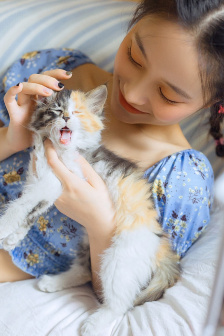 sis地址
